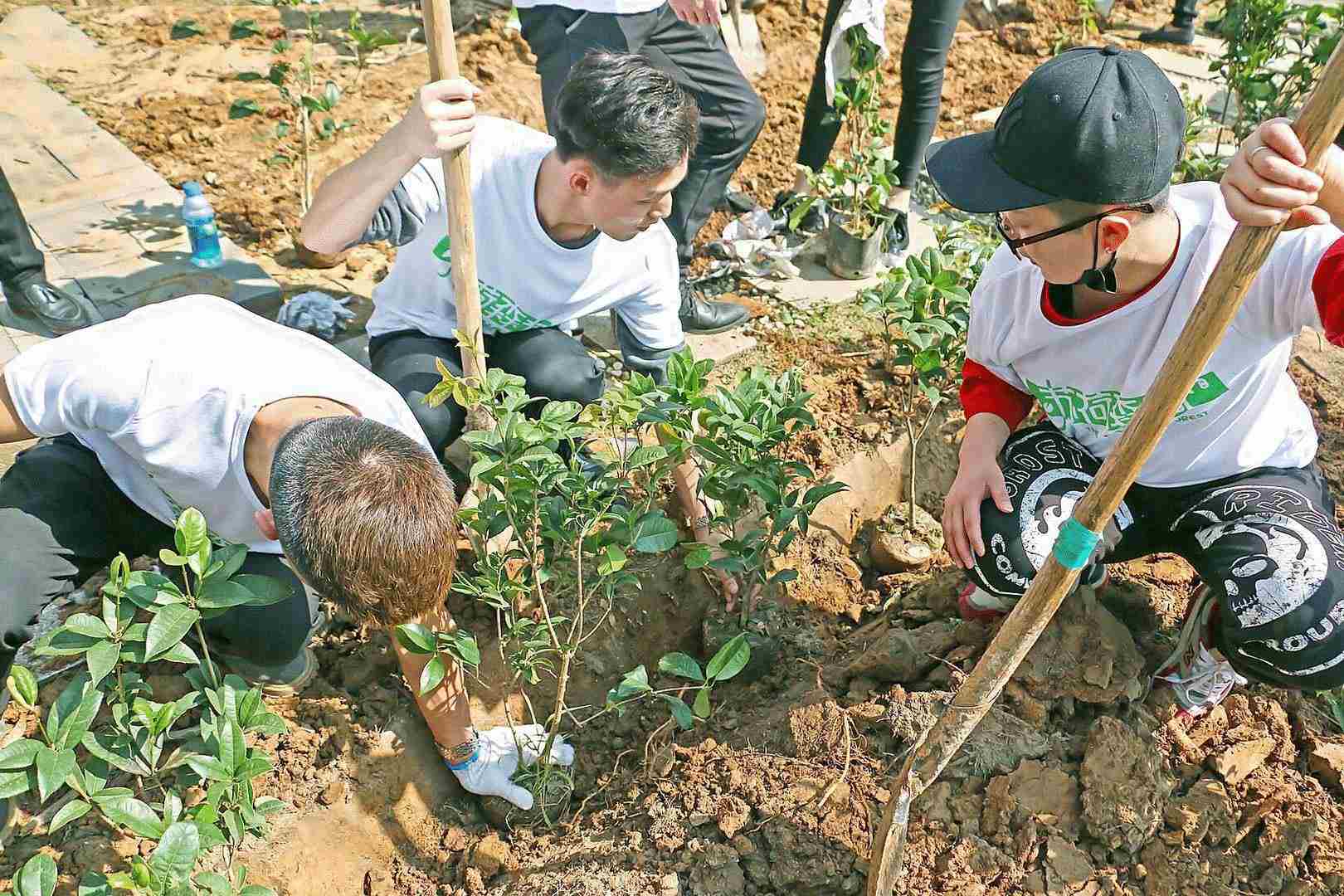 公益咨询三